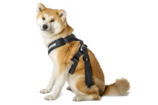 Bezpečnostní pás pro psy - "XL"