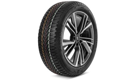 Complete winter alloy wheel Rila 20