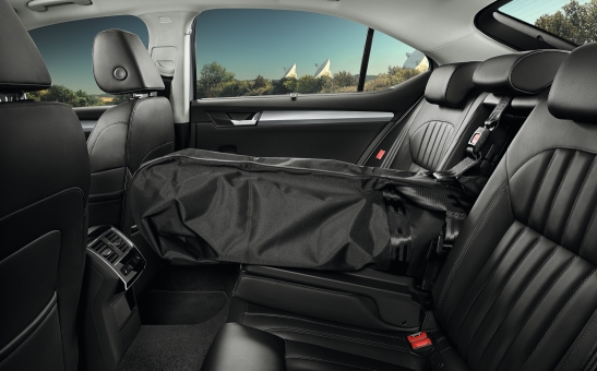 Ski sack for the car