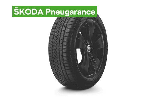 Kompletní zimní kolo Triton 17" SUPERB III