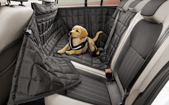 Bezpečnostní pás pro psy - "S"