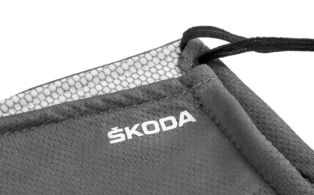 Antibacterial Mask grey