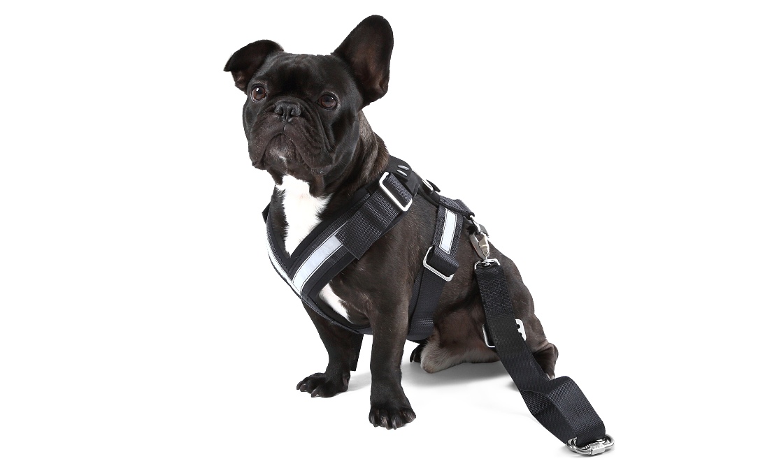 Bezpečnostní pás pro psy - ''M''