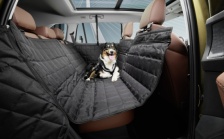 Back seat protection