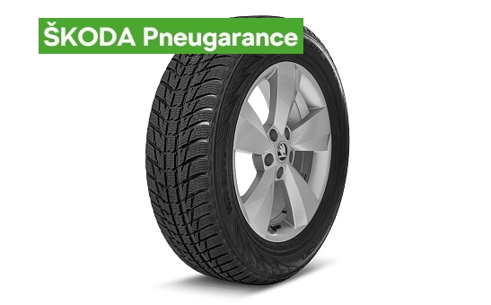 Kompletní zimní kolo NANUQ 17" KODIAQ