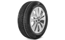 Complete winter alloy wheel Proteus 19" front for Elroq