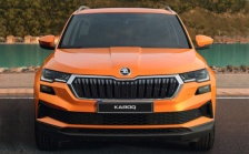 Car Plate Karoq