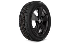 Kompletní zimní kolo Triton 17" pro Superb III