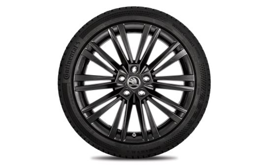 Kompletní zimní kolo Canopus 19" pro Superb III