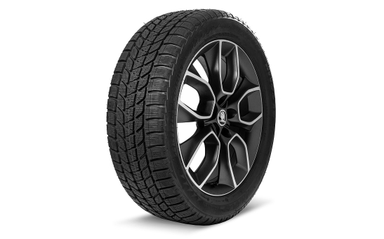 Kompletní zimní kolo CRATER 19" KODIAQ