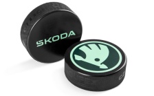 Hockey Puck