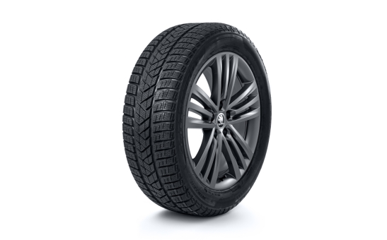 Kompletní zimní kolo TRINITY 18" OCTAVIA III SCOUT DOT 2018