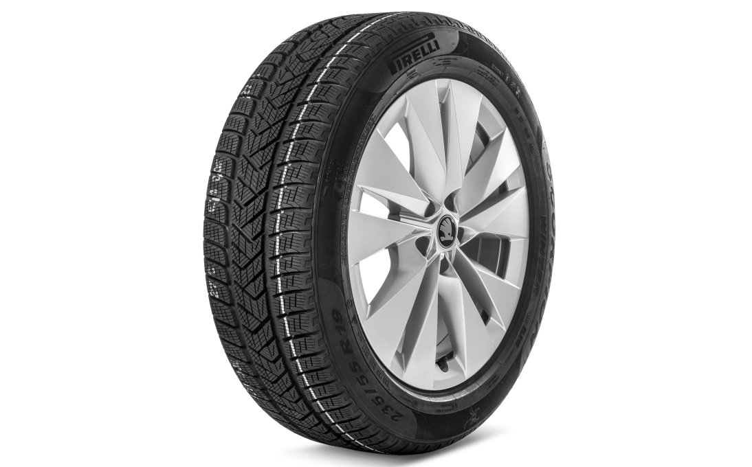 Complete winter alloy wheel Proteus 19