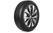 Complete winter alloy wheel Lefka 19" for Kodiaq II