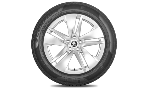 Complete winter alloy wheel Proteus 19" for Enyaq, Elroq