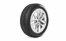 Kompletní zimní kolo ROTARE SILVER 17" pro OCTAVIA IV