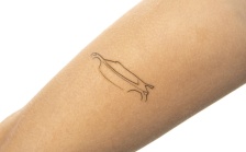 Tetovačky Motorsport