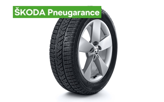 Kompletní zimní kolo RATIKON 17" KAROQ