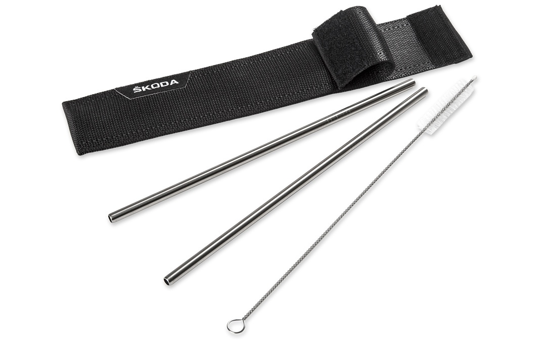 Metal Straws with Case