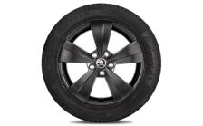 Kompletní zimní kolo Triton 17" pro Superb III