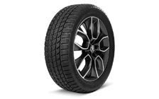 Kompletní zimní kolo CRATER 19" KODIAQ