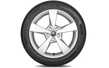 Kompletní zimní kolo Dione 16" pro Fabia III