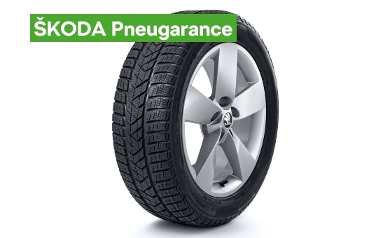 Complete winter 17" alloy wheel RATIKON for KAROQ