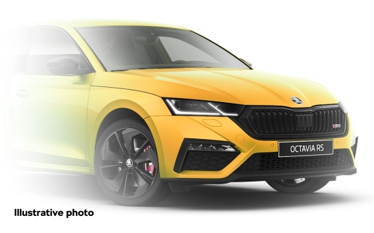 Tužka laková žlutá Sunflower