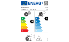 Complete winter alloy wheel Paget aero 17" for Kodiaq II